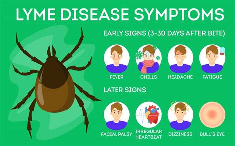 Dealing with the Unexpected: Uncovering the Unexpected Symptoms of Lyme Disease